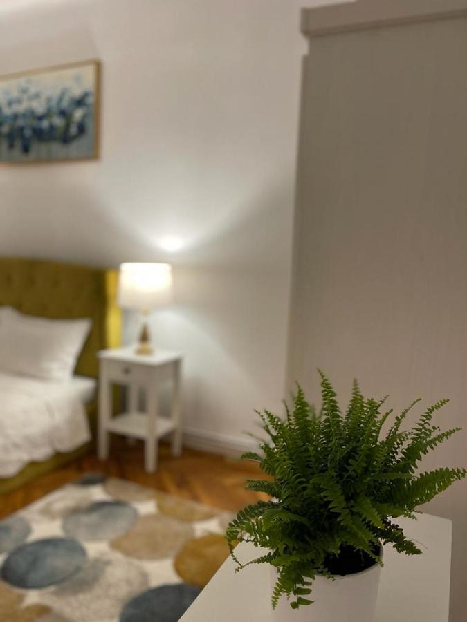 Cityviews Apartment Cluj ภายนอก รูปภาพ