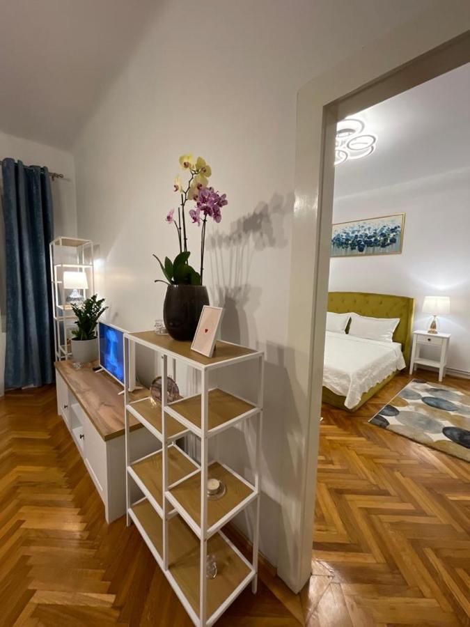 Cityviews Apartment Cluj ภายนอก รูปภาพ