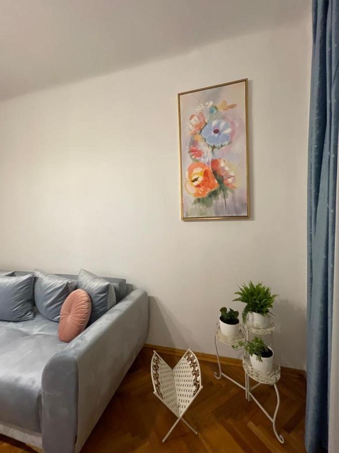Cityviews Apartment Cluj ภายนอก รูปภาพ